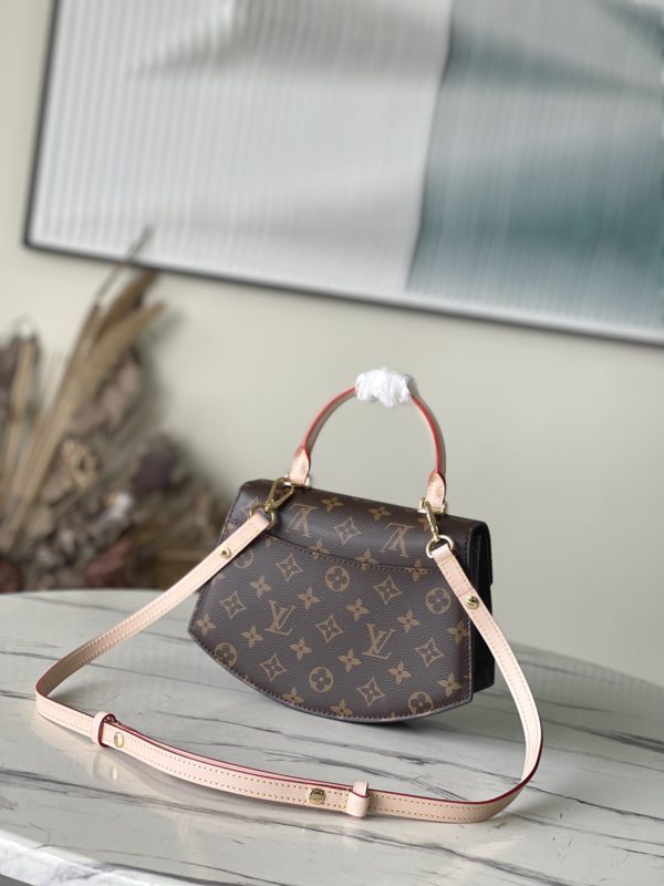 Louis Vuitton CrossBody Presbyopia Handbag - Image 4