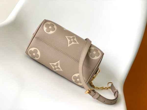 Louis Vuitton Speedy Bandoulière 20 Handbag - Gray - Image 4
